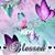 Debra G. Scaife's profile image
