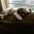 Debbie Reed's profile image
