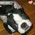 Colleen Jeunesse's profile image