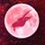 Vicki Bussell-Johnston's profile image