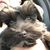 Anita Cook Carver's profile image