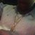 Jamarcus Strong's profile image