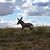 Troy Widick's profile image