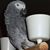 Debra Anderson's profile image