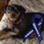 Connie Kappelman McKean's profile image