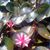 Robin Johnson's profile image