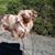 Belinda Burns Pliska's profile image