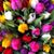 Sharon Cox Goemaere's profile image