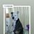 Tina Pitrelli Williams's profile image