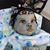Shannon Pereira Downey's profile image