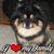 Edye Rivera's profile image