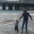 Sarah Willson Chambers's profile image