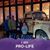Sheila Dunkin Wallbrown's profile image