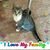 Gloria Diewald Thompson's profile image