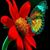 Lupe Carrillo's profile image