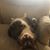 Nicole Robles Henshaw's profile image
