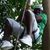 Anderson Demetrius Jones's profile image