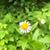 Mary Ann Friese's profile image