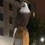 Kevin Swat Wyatt's profile image