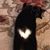 Connie L McEwen's profile image
