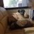 Linda M. Goode-Rees's profile image