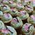 Stacey Bacchas's profile image
