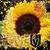 Maureen Wyak's profile image
