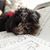 Joanna Klett's profile image