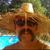 Charles H. Norris's profile image