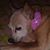 Kat Ashby's profile image