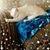 Nancy Davis's profile image