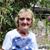 Joyce Stein's profile image