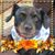Becky Miller's profile image
