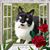 Sheila Neidhardt's profile image