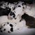 Jeremiah N Kimberly Trejo's profile image