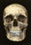 John L.'s profile image
