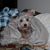 Lisa Farris Titzel's profile image