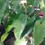 Sam Chung-Hoon's profile image