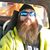 Nick Bay's profile image