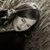 Jesid De Sutter's profile image