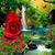 Reyna Galan's profile image