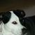 Robert Anderson's profile image