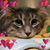Jen Gray's profile image
