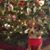 Kathy Bishop's profile image