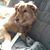 Christine Boucher's profile image