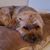 LisanMatt Cowick's profile image