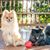 Kathy Rumade's profile image