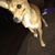 Maribel Carlos's profile image