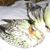 Kathy Kessler's profile image