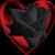 Sandi Walker's profile image